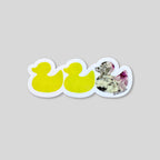 Duck Duck Asexual Duck Sticker - Duck Duck Gray Duck - Duck Duck Pride Duck - Asexual Pride - 3.5"x1.5"