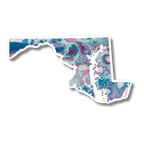 Maryland State Trans Pride and Rainbow State Vinyl Sticker