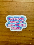 Trans Youth Deserve To Become Trans Adults Sticker