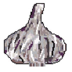 Whimsy Garlic Needlepoint Digital Chart