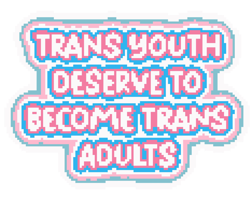 Trans Youth Deserve to Become Trans Adults Needlepoint Digital Chart