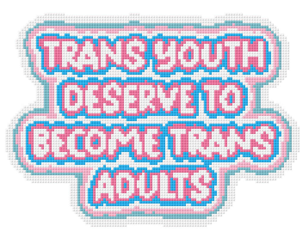 Trans Youth Deserve to Become Trans Adults Needlepoint Digital Chart
