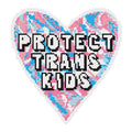 Protect Trans Kids Needlepoint Digital Chart