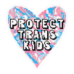 Protect Trans Kids Needlepoint Digital Chart