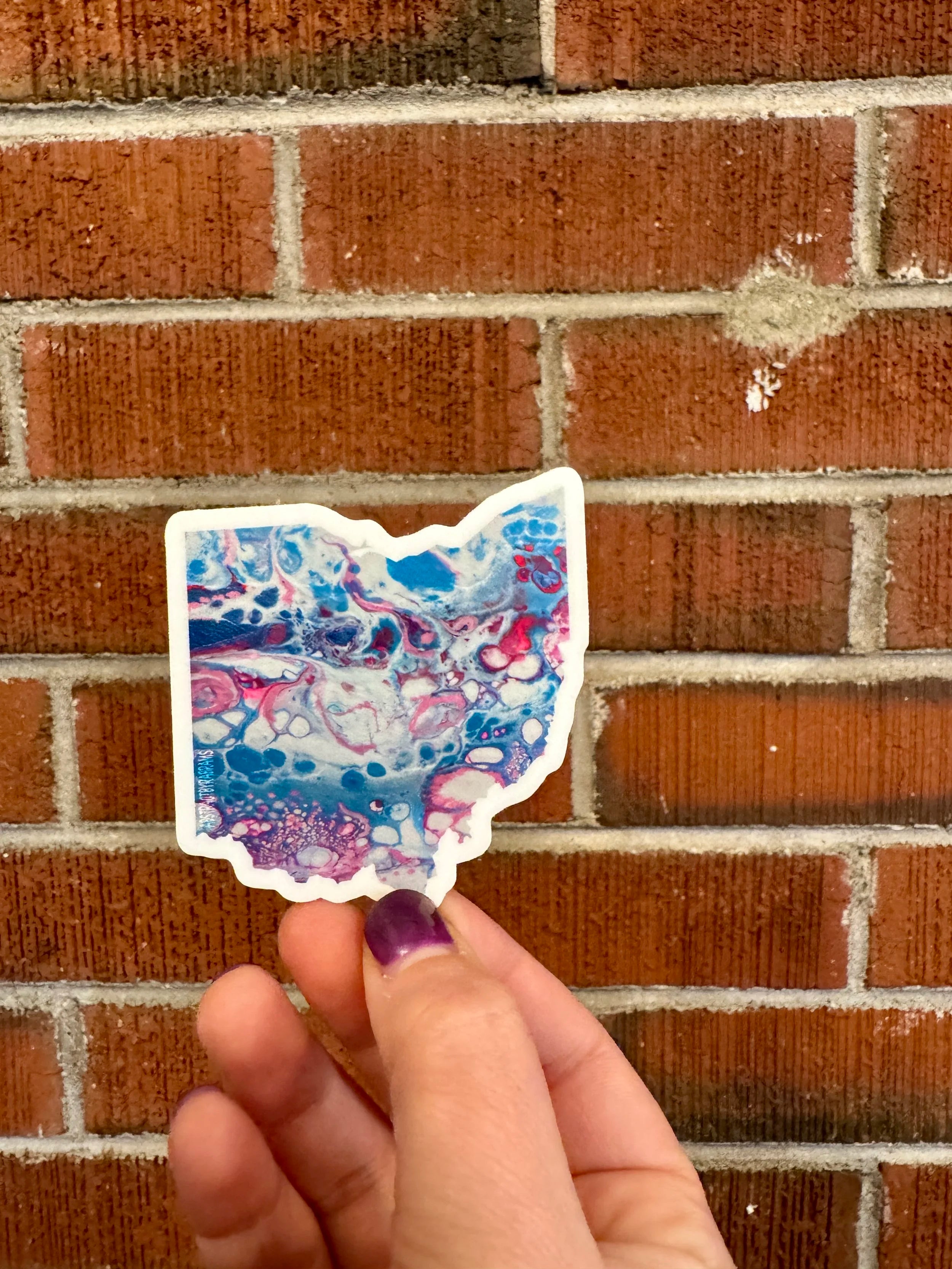 Ohio State Trans Pride and Rainbow State Vinyl Sticker