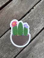 Hand Drawn Cactus Planter Sticker - 3"