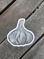 Hand Drawn Garlic Sticker - 3"