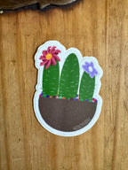 Hand Drawn Cactus Planter Sticker - 3"