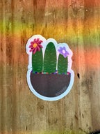 Hand Drawn Cactus Planter Sticker - 3"