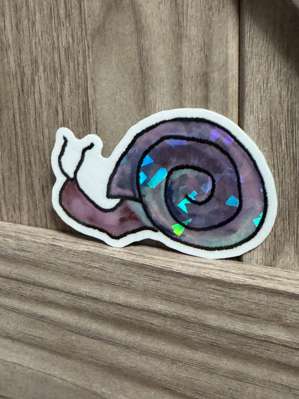 Disco Hand Drawn Snail Sticker - 3"