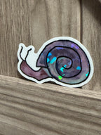 Disco Hand Drawn Snail Sticker - 3"