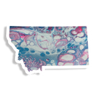 Montana State Sticker - Vinyl - Waterproof - LGBTQ - Trans