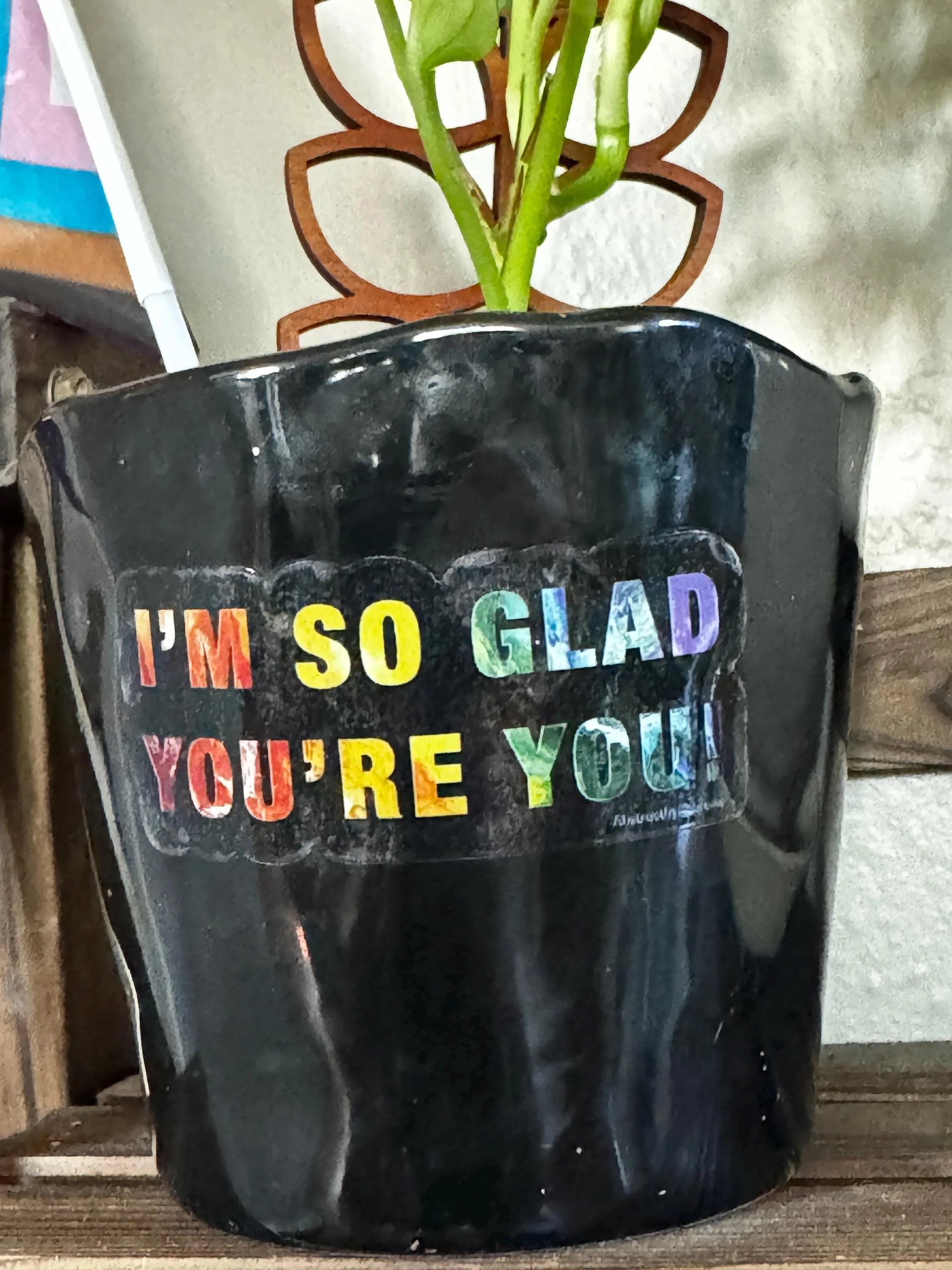 I'm So Glad You're You  - Translucent Clear Glossy Vinyl - Rainbow - 3.5"x1.5"