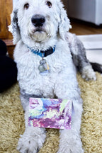 Happy Birthday from a Dog - 4"x6" - Birthday Card - Pet Birthday