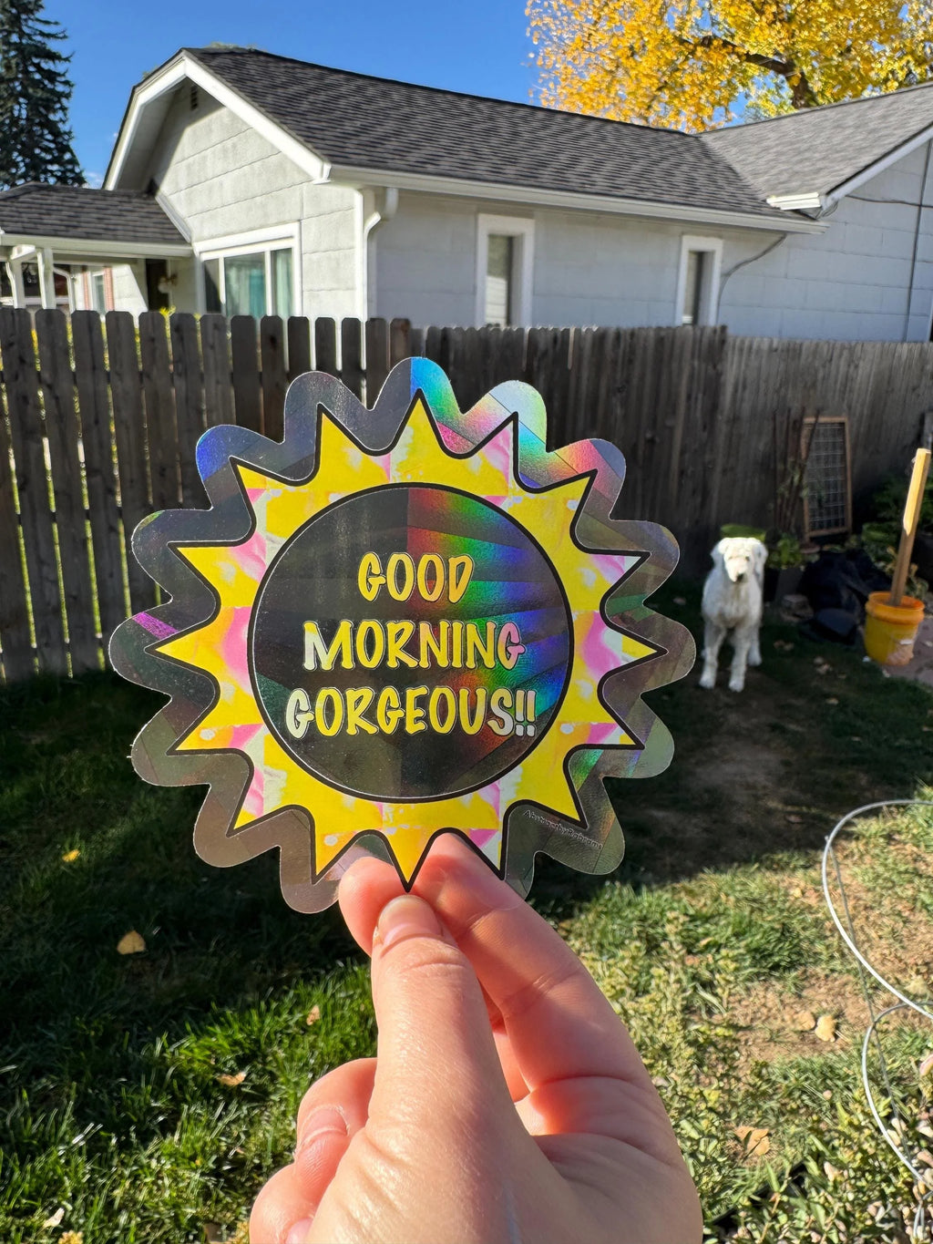 Good Morning Gorgeous! Sun Catcher Window Decal, 4.5"x4.5" - Suncatcher